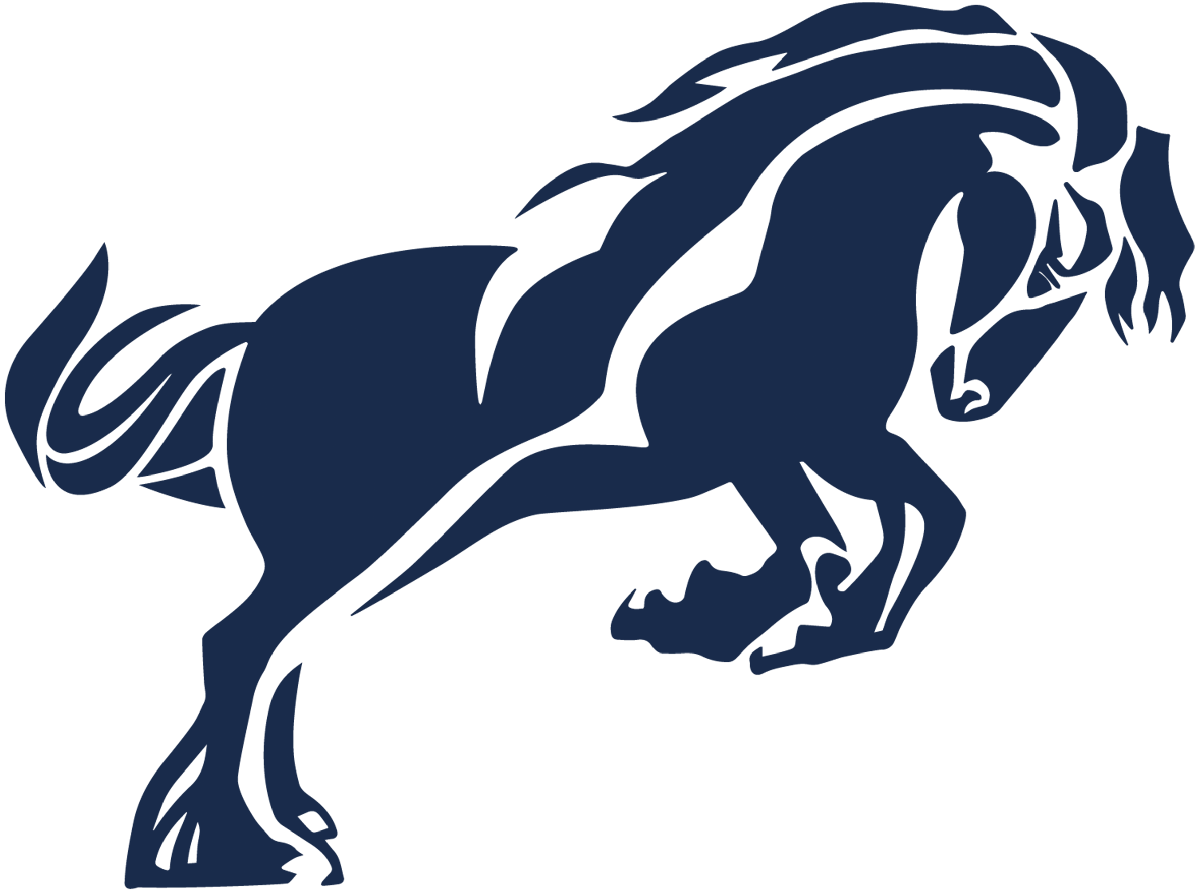 Cavalo frísio – símbolo do Palo & Basso Advogados